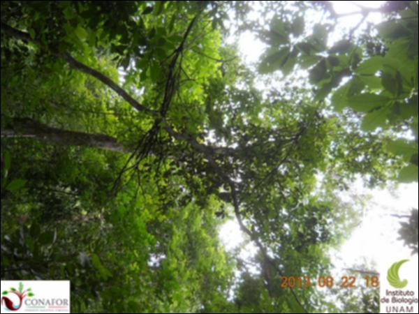 62963_S4_ARC_20130822_008_001.jpg.jpg