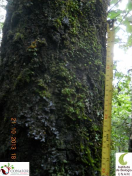 63104_S3_CRT_20131021_022_001.jpg.jpg