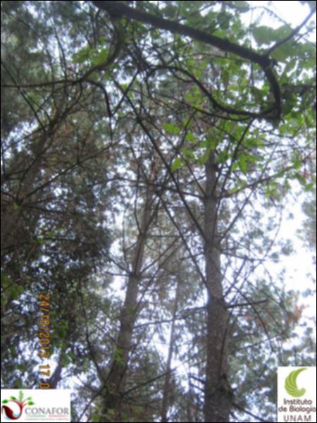 63149_S4_ARC_20131024_009_002.jpg.jpg