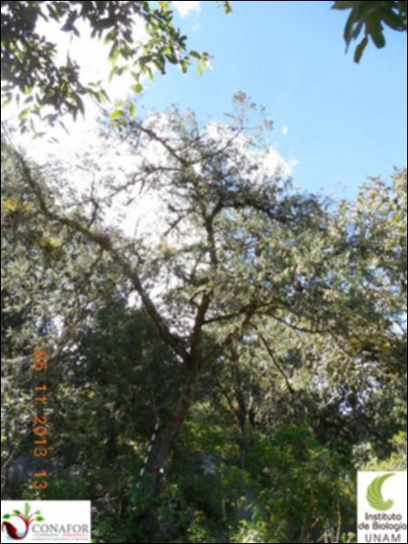70746_S3_ARC_20131105_003_001.jpg.jpg