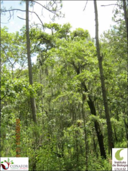 71355_S1_ARC_20130904_028_001.jpg.jpg