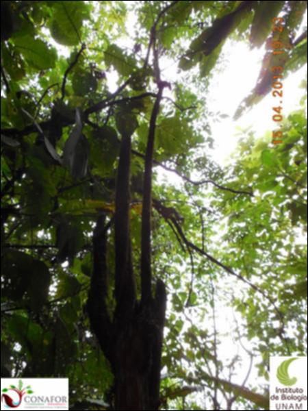 51833_S3_ARC_20130414_044_002.jpg.jpg