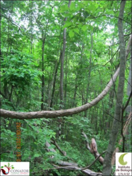 77577_S1_ARC_20130628_008_001.jpg.jpg
