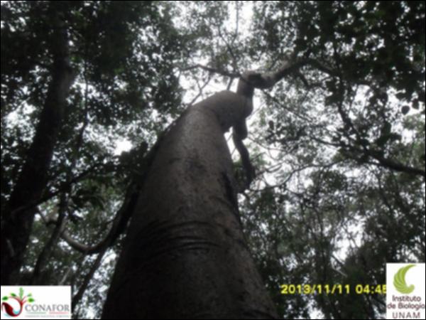 56639_S1_ARC_20131111_043_001.jpg.jpg