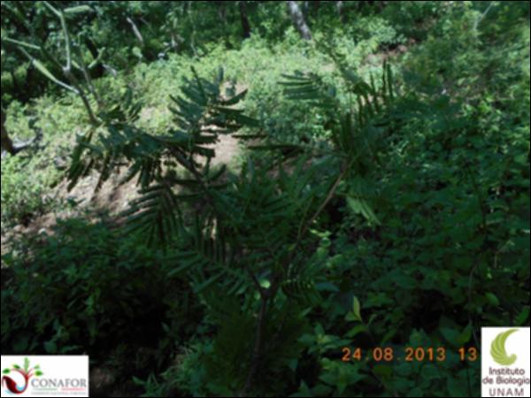 71380_S4_HJ2_20130824_002_001.jpg.jpg