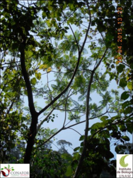 58873_S1_ARC_20130418_002_002.jpg.jpg