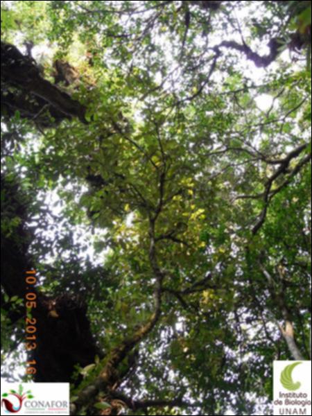 72924_S4_ARC_20130509_008_002.jpg.jpg