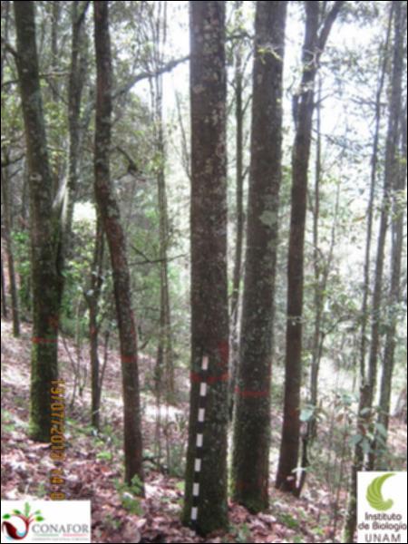 74753_S1_ARC_20130718_030_001.jpg.jpg