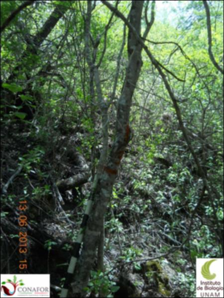 75361_S2_ARC_20130613_011_001.jpg.jpg