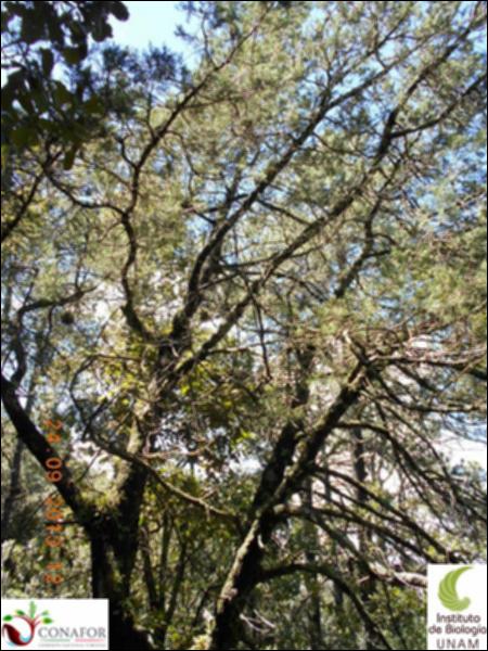 59610_S1_ARC_20130924_014_002.jpg.jpg
