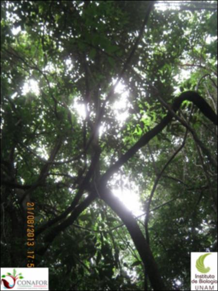 74713_S1_ARC_20130821_039_002.jpg.jpg
