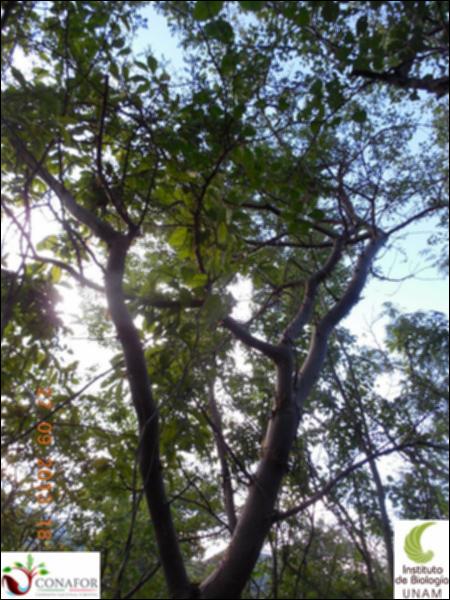 67557_S1_ARC_20130927_003_002.jpg.jpg