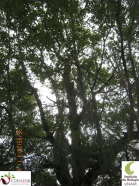 64173_S1_ARC_20130525_002_002.jpg.jpg