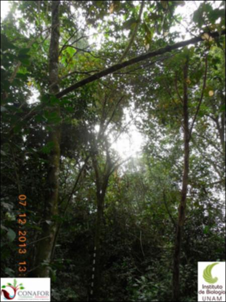 51593_S4_ARC_20131207_003_001.jpg.jpg