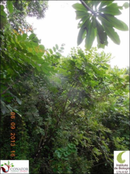 72834_S2_ARC_20130826_011_001.jpg.jpg