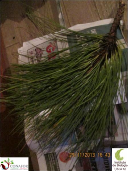 21331_S4_HJ1_20131029_007.jpg.jpg