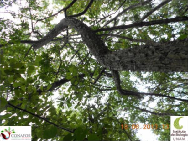 50962_S1_ARC_20130618_049_001.jpg.jpg