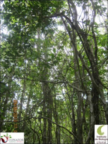 51194_S3_ARC_20130609_019_001.jpg.jpg