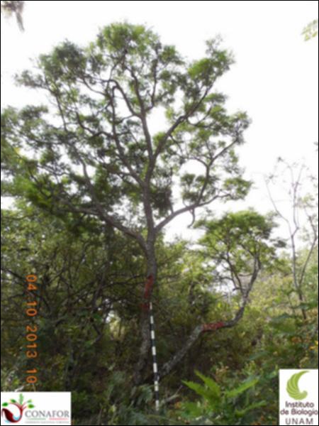 66979_S2_ARC_20131004_018_001.jpg.jpg