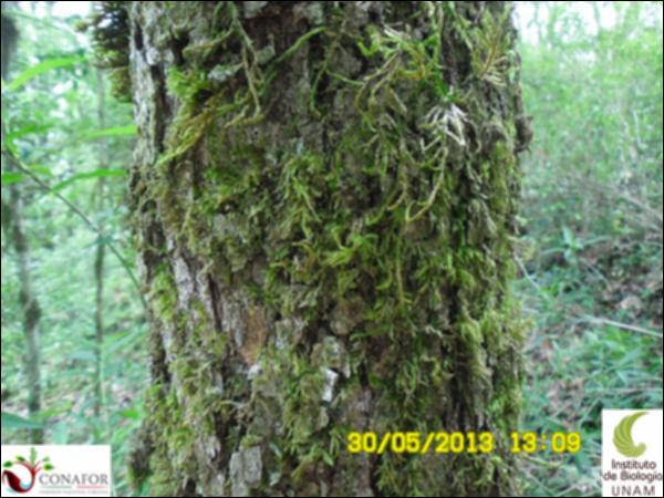 46204_S1_CRT_20130530_010.jpg.jpg