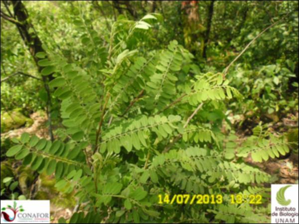 58265_S2_HJ1_20130714_001.jpg.jpg