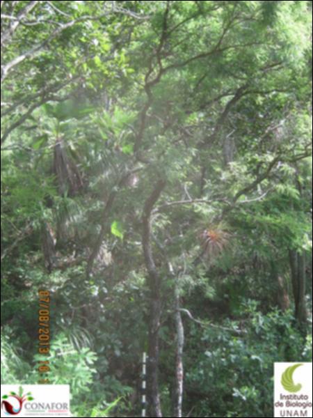 73941_S4_ARC_20130807_013_001.jpg.jpg