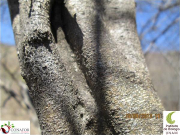 32392_S4_CRT_20130518_005.jpg.jpg