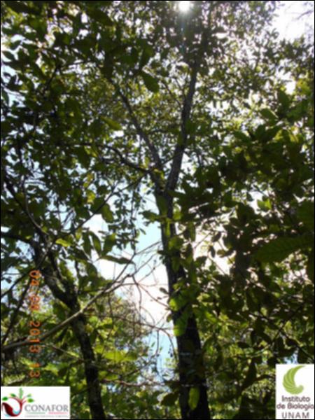 73508_S1_ARC_20130804_002_001.jpg.jpg