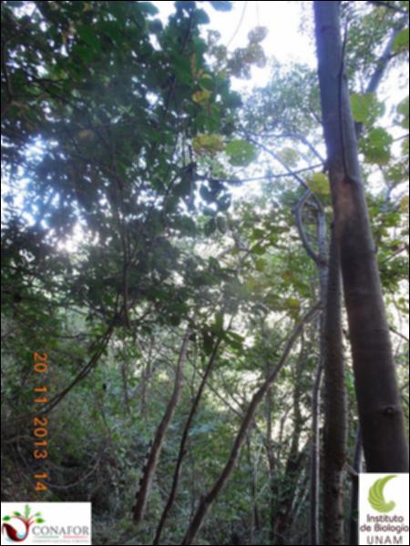 65485_S4_ARC_20131120_008_001.jpg.jpg