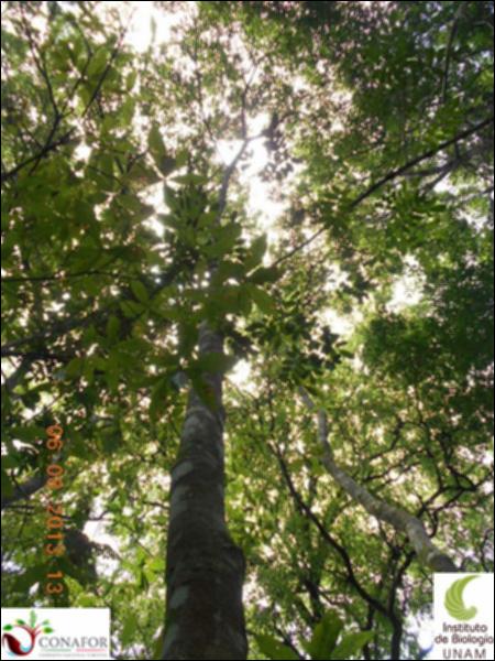 74323_S4_ARC_20130806_003_002.jpg.jpg