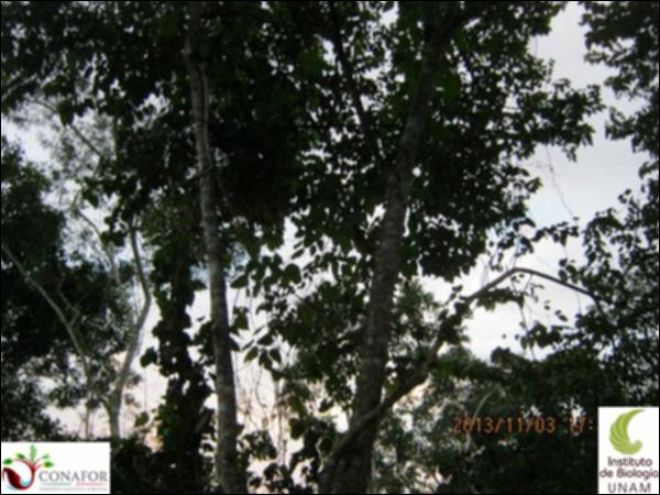 52840_S4_ARC_20131103_022_003.jpg.jpg