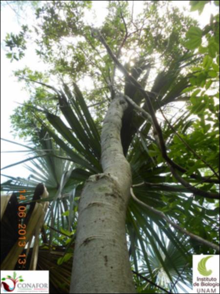 49807_S2_ARC_20130614_007_001.jpg.jpg