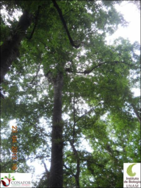 61651_S1_ARC_20130428_001_002.jpg.jpg