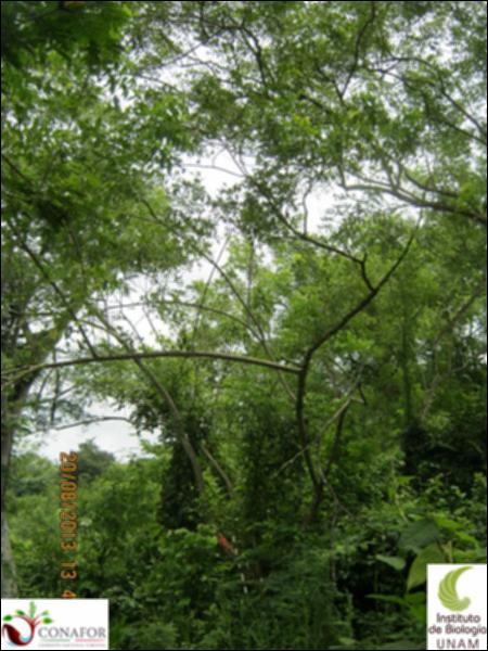 77431_S3_ARC_20130820_003_001.jpg.jpg