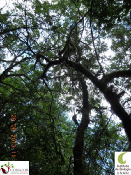 72490_S1_ARC_20130528_055_002.jpg.jpg