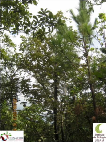 73341_S1_ARC_20130620_022_002.jpg.jpg