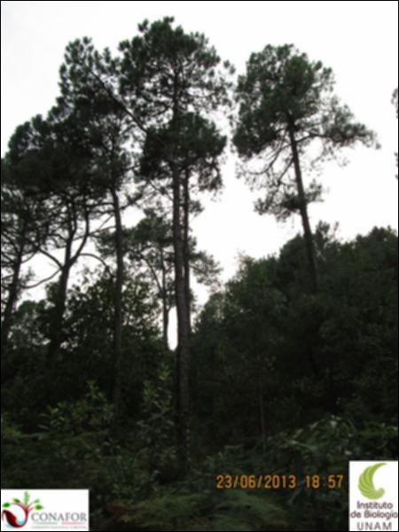 32787_S1_ARC_20130623_003.jpg.jpg