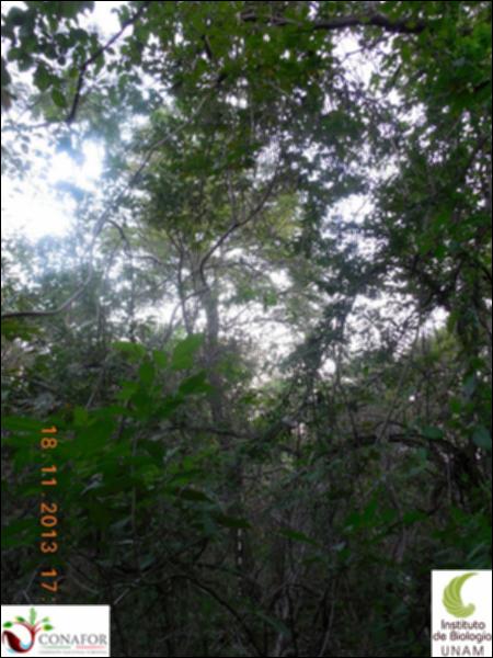 65189_S2_ARC_20131118_006_001.jpg.jpg