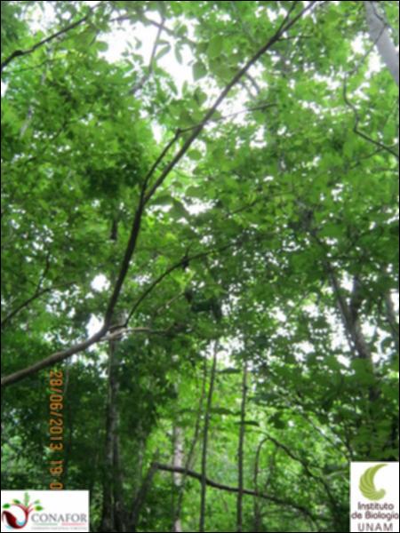 77577_S1_ARC_20130628_001_002.jpg.jpg