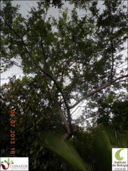 76081_S1_ARC_20130708_007_002.jpg.jpg