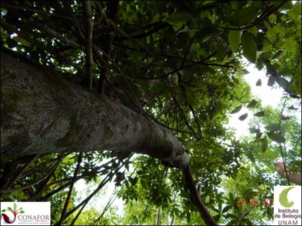 59444_S1_ARC_20130527_003_001.jpg.jpg