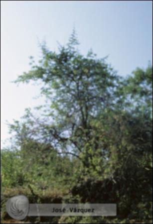 8078.jpg.jpg