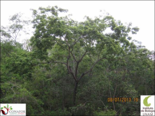 66904_S2_ARC_20130708_004.jpg.jpg
