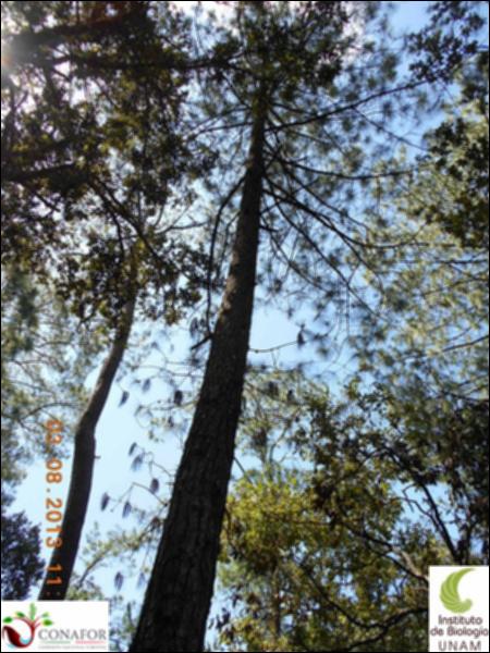 72874_S1_ARC_20130802_004_002.jpg.jpg
