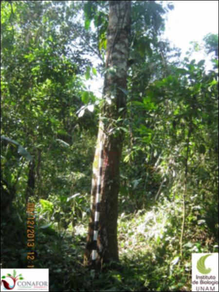 55367_S1_ARC_20131208_009_001.jpg.jpg
