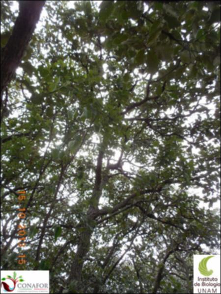 63889_S2_ARC_20131015_012_002.jpg.jpg