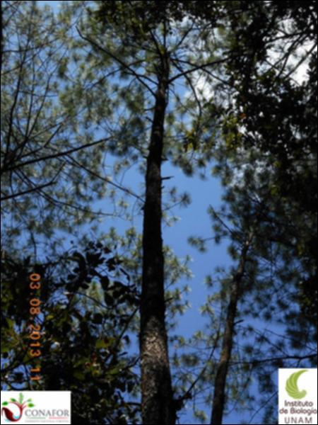 72874_S1_ARC_20130802_010_003.jpg.jpg