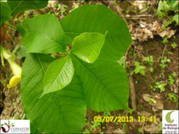 62572_S2_HJ1_20130705_002.jpg.jpg