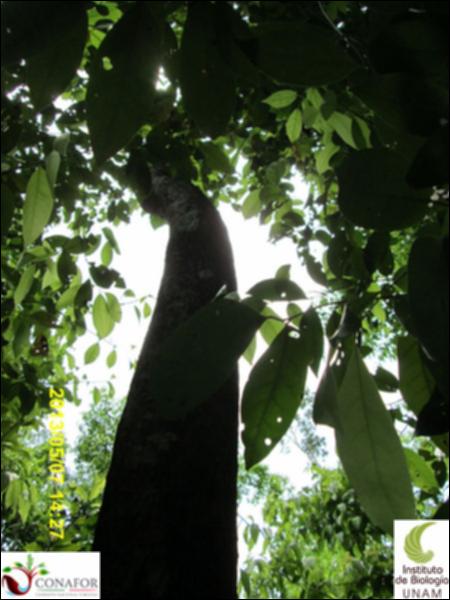 62234_S1_ARC_20130507_025_001.jpg.jpg