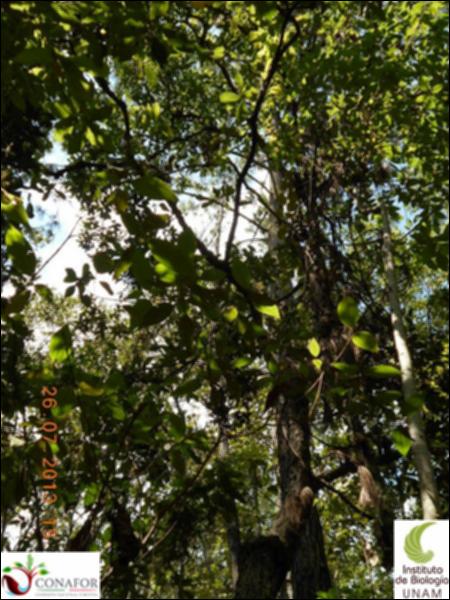 77158_S1_ARC_20130726_002_002.jpg.jpg